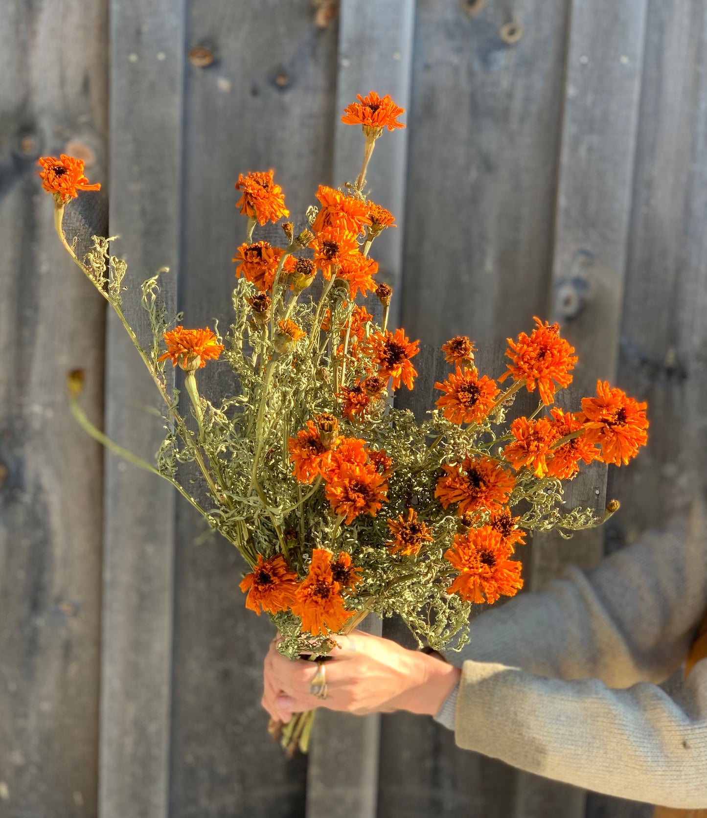 Marigolds Garland Orange Dried
