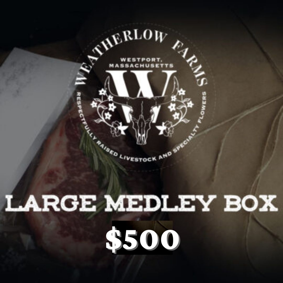 LARGE MEDLEY BOX