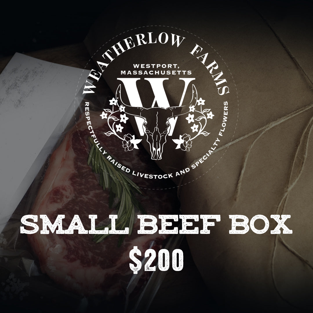 SMALL BEEF BOX