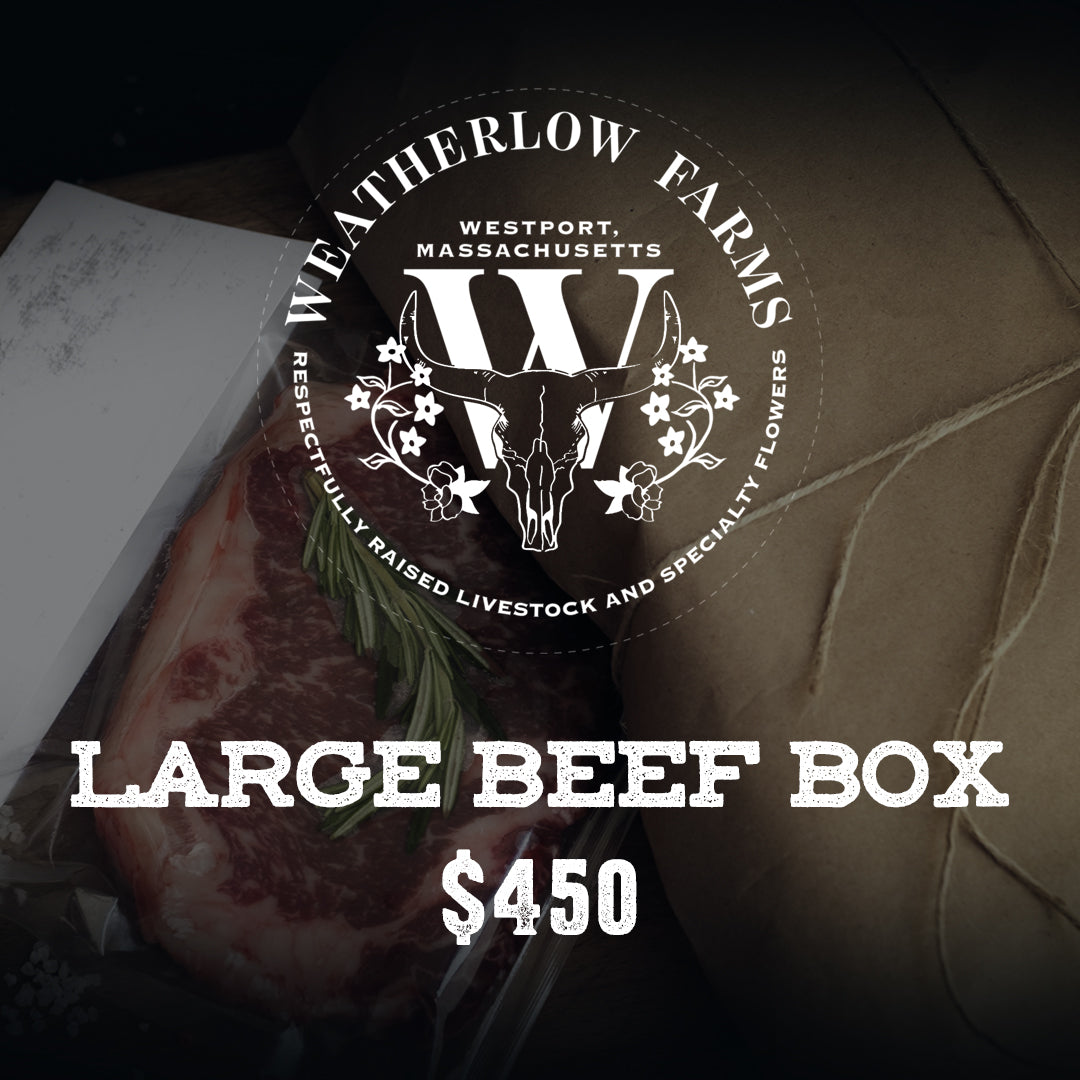 LARGE BEEF BOX