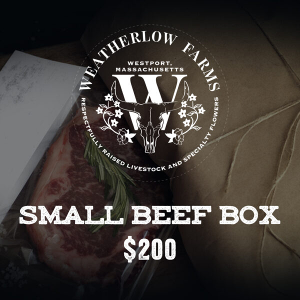 Small Beef Box 200 dollars