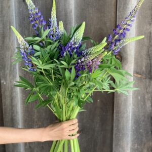 Wholesale_Florals_Website